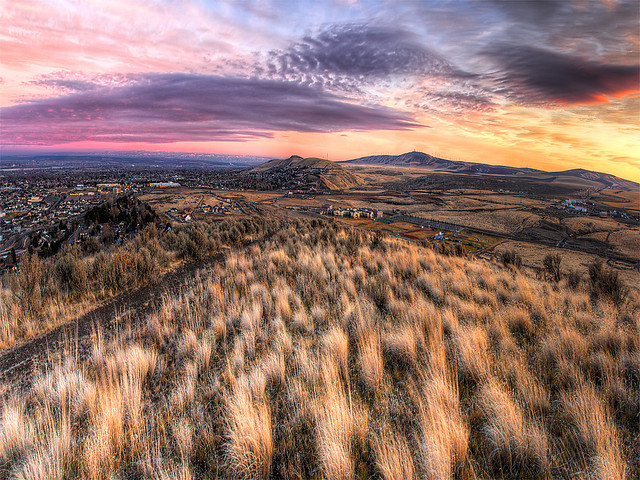 Desert landscape